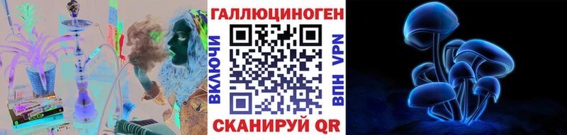 hydra как войти  Тулун  Галлюциногенные грибы Psilocybine cubensis 